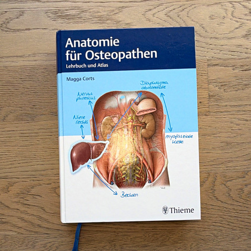 Thieme anatomie für - thieme,