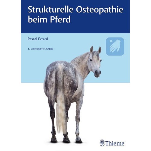 Strukturelle osteopathie beim - strukturelle,